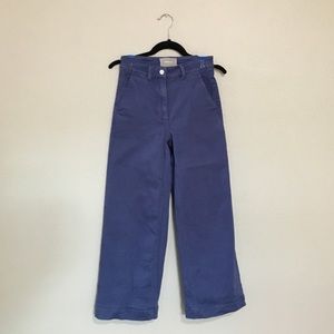 Everlane Wide Leg Crop 00 Short